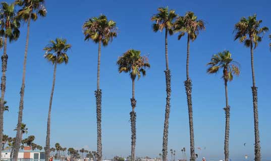 Downtown Long Beach Property Management